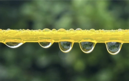 Rain Drops on the Washing Line - A photograph
